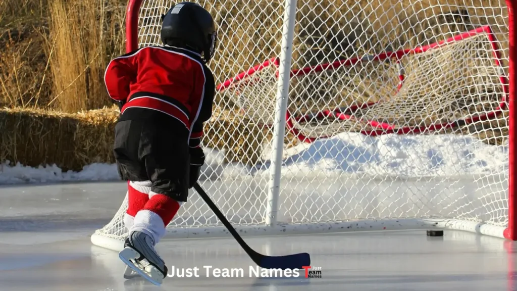 Cool Hockey Team Names