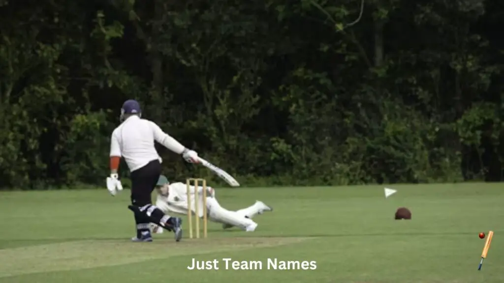 Unique Cricket Team Names