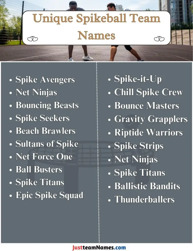 Unique Spikeball Team Names