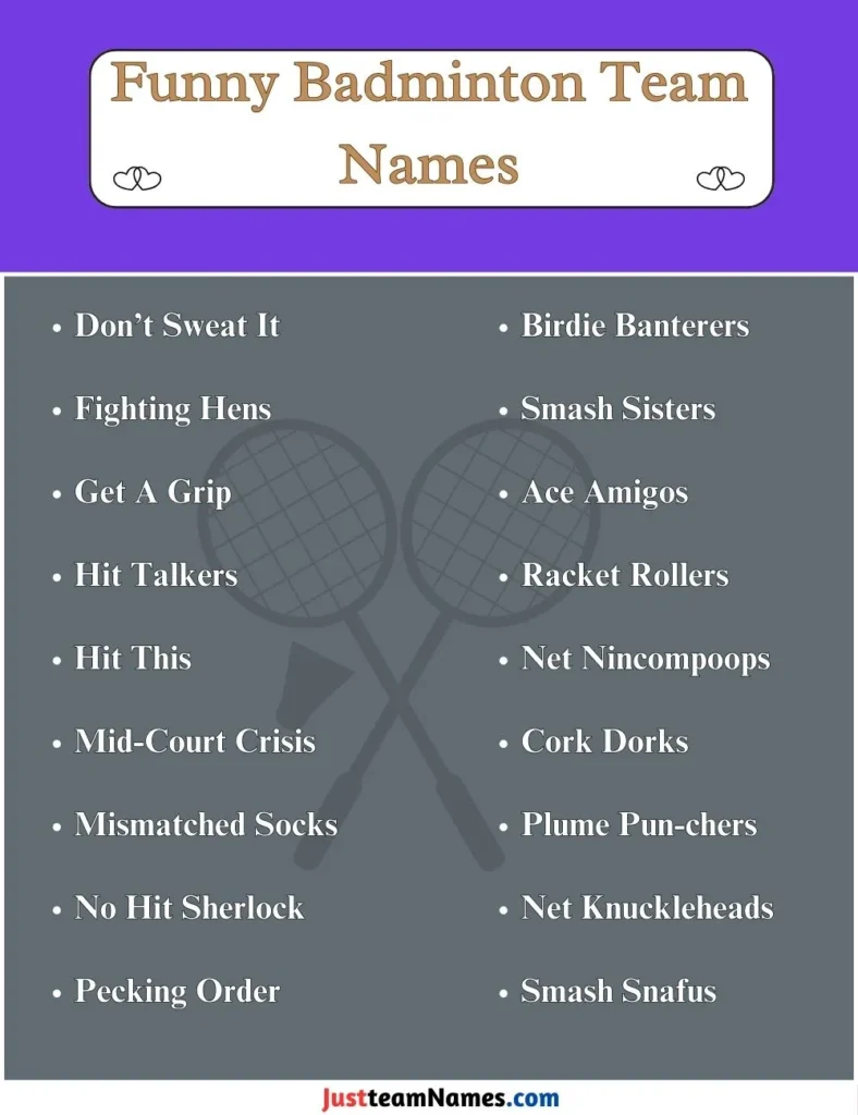 Funny Badminton Team Names